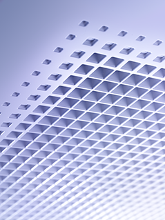 FFA-A9_detail_1.tif